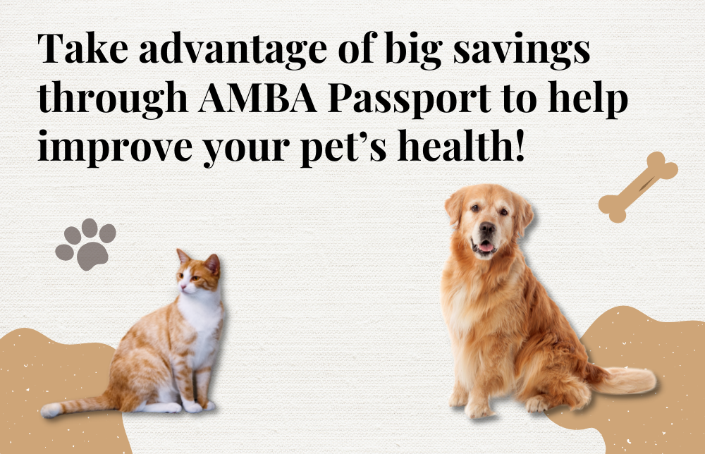 How Pets Improve Your Health